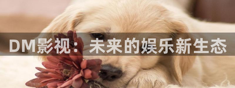 yy影院在线观看免费播放电视剧大全桔子