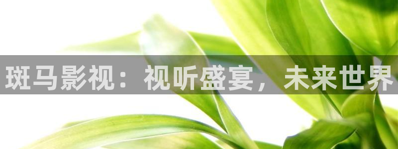 桔子影视免费观看